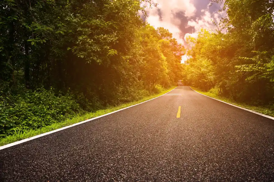 Professional Asphalt Services